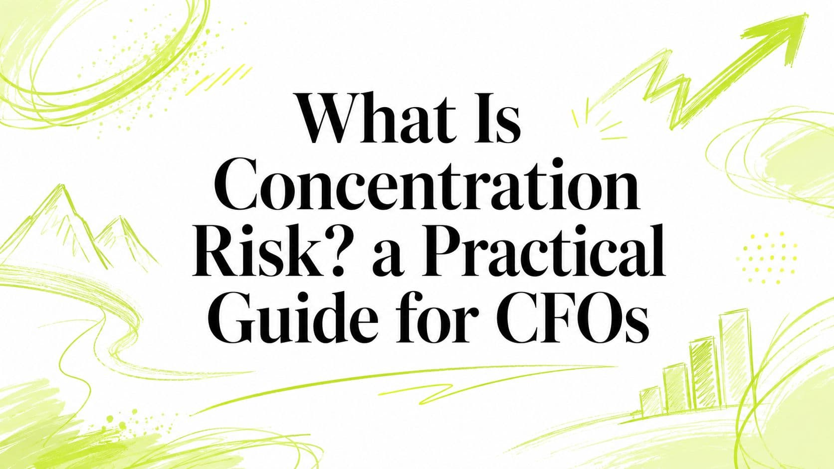 What Is Concentration Risk? a Practical Guide for CFOs
